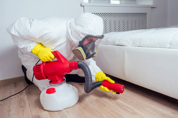 Best Best Pest Control Companies  in Mantua, VA