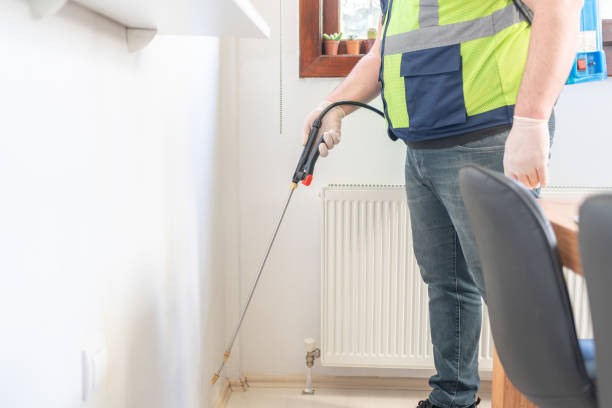 Trusted Mantua, VA Pest Control Experts